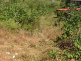 Phase 2 Westmoreland, Westmoreland, Jamaica - Residential lot for Sale